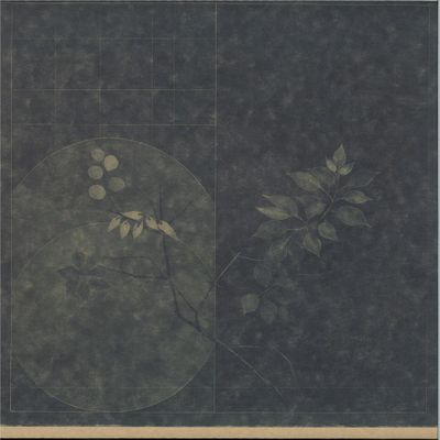 Sara Wual, Flabaire, Paul Cut, Mayan — Transnationality EP vinyl cover