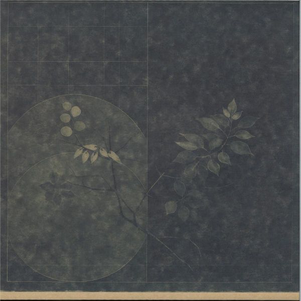 Sara Wual, Flabaire, Paul Cut, Mayan — Transnationality EP vinyl cover