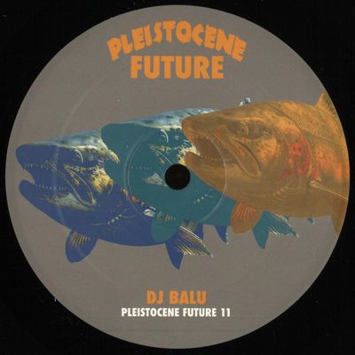 Dj Balu — Pleistocene Future 11 vinyl cover