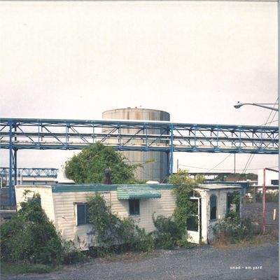 Snad — AM Yard vinyl cover