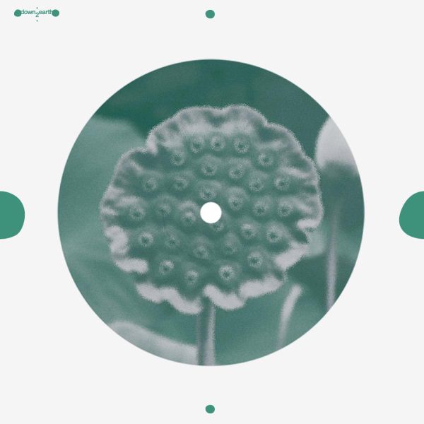 Matthias — beat of blades vinyl cover