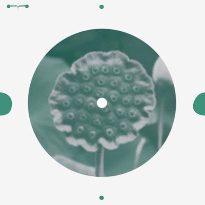 Matthias — beat of blades vinyl cover