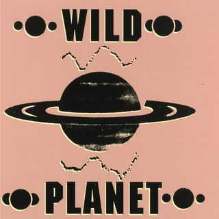 Wildplanet — Transmitter LP 2x12" vinyl cover