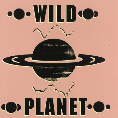 Wildplanet — Transmitter LP 2x12" vinyl cover