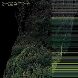 Pigeon Steve — Dialect vinyl cover