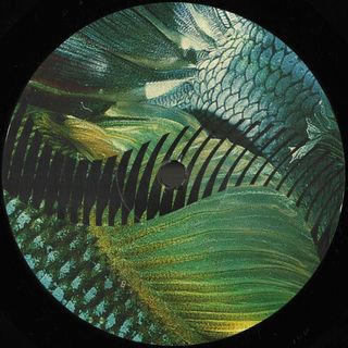 Gustavo Fridman — Dios Habla Hoy vinyl cover