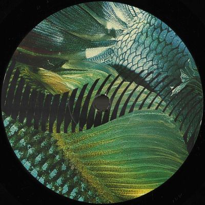Gustavo Fridman — Dios Habla Hoy vinyl cover