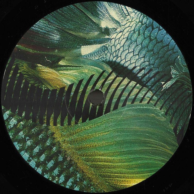 Gustavo Fridman — Dios Habla Hoy vinyl cover