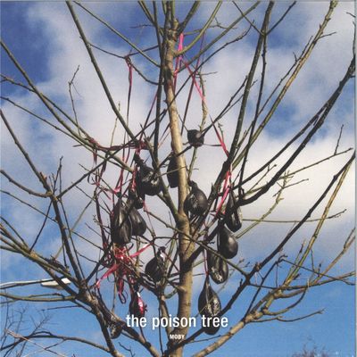 Moby — The Poison Tree / Lie Down In Darkness Remixed vinyl cover
