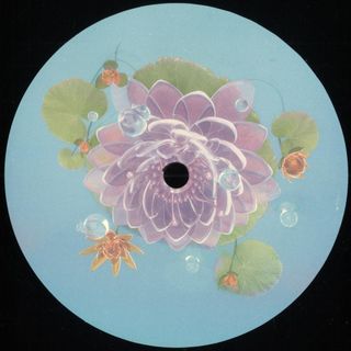 Aiden Francis — Enoki EP vinyl cover