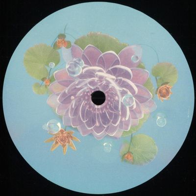 Aiden Francis — Enoki EP vinyl cover