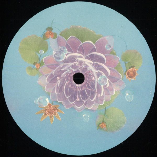 Aiden Francis — Enoki EP vinyl cover