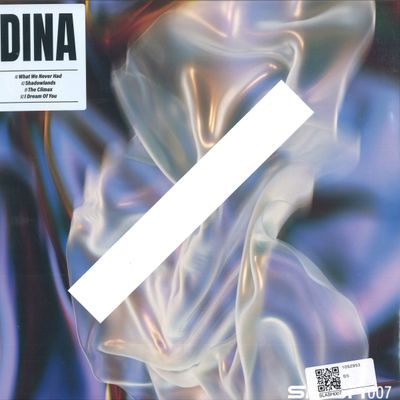 Dina — What We Never Had vinyl cover