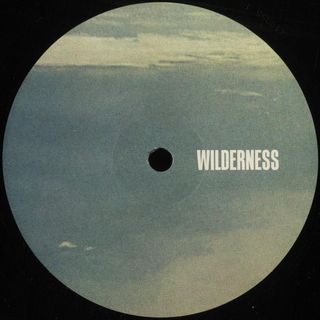 Peeb — Endless Skies EP vinyl cover