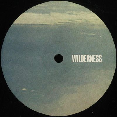 Peeb — Endless Skies EP vinyl cover