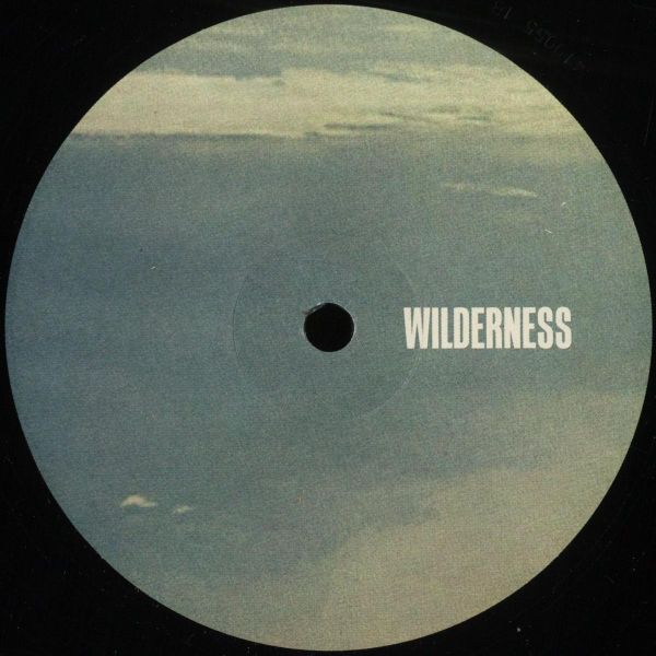 Peeb — Endless Skies EP vinyl cover