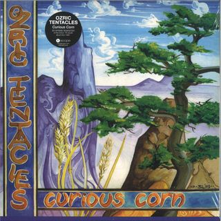 Ozric Tentacles