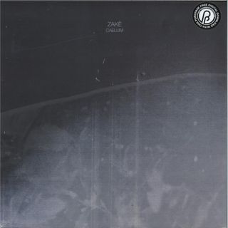 Zake — Caelum vinyl cover