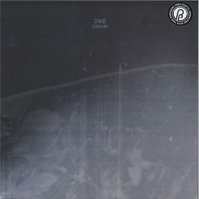 Zake — Caelum vinyl cover