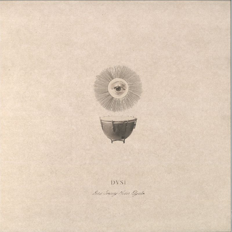 Dvs1 — Beta Sensory Motor Rhythm LP 2x12" vinyl cover