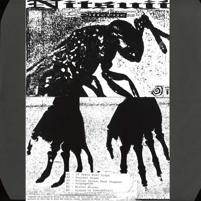 Nitsujj — Heal From Bitterness vinyl cover