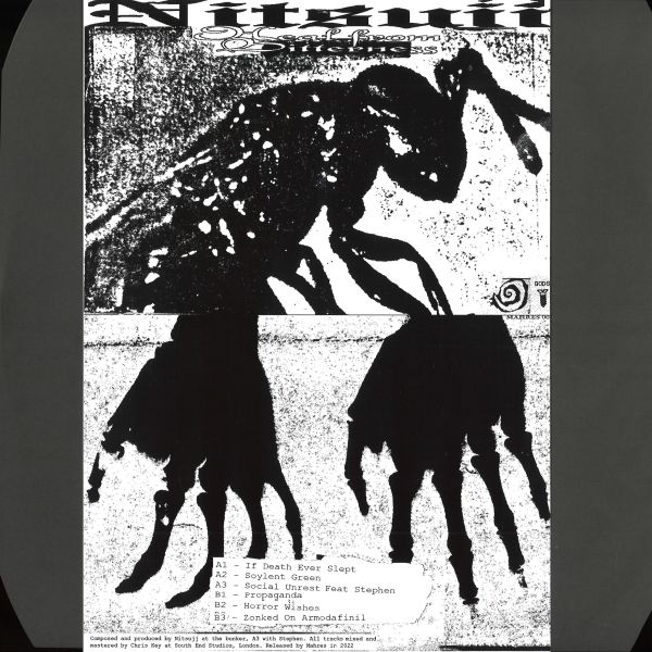 Nitsujj — Heal From Bitterness vinyl cover