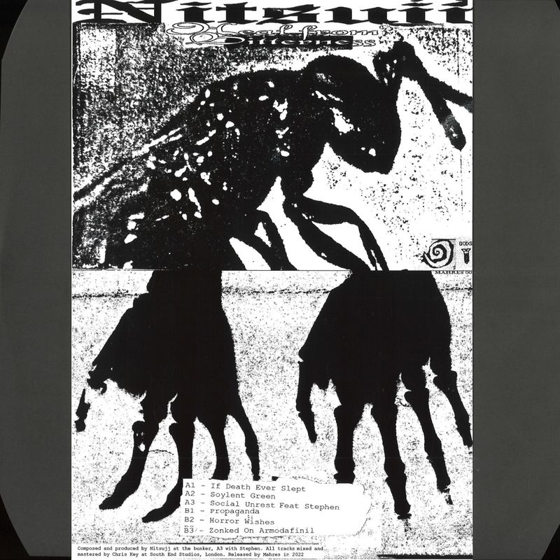 Nitsujj — Heal From Bitterness vinyl cover