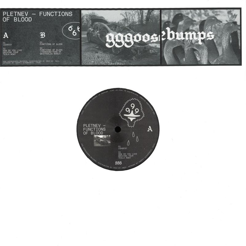Pletnev — Functions of Blood vinyl cover