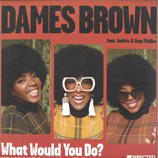 Dames Brown, Andrés, Amp Fiddler — What Would You Do? (Remixes) vinyl cover