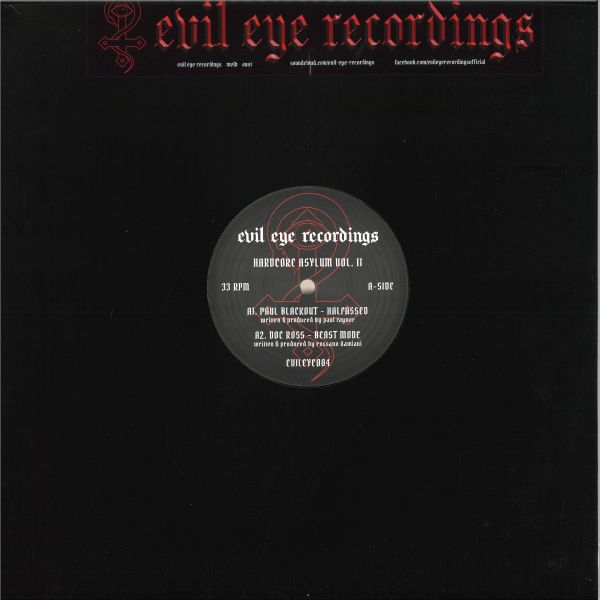 Various — Hardcore Asylum Volume II vinyl cover