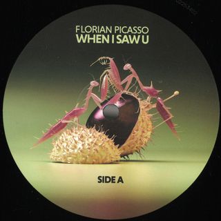 Florian Picasso