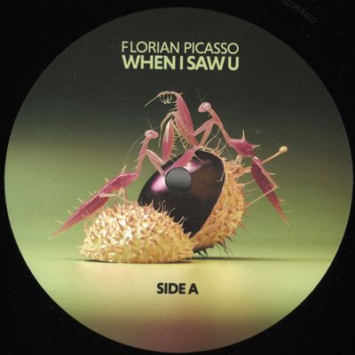 Florian Picasso — When I Saw U vinyl cover