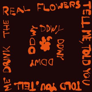 ddwy — Tell Me, Told You vinyl cover