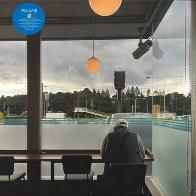 Polcari — I Will Try To Imitate The Birds vinyl cover