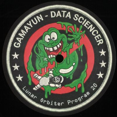Gamayun — Data Sciencer vinyl cover