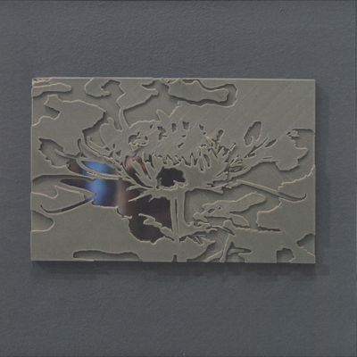 Ignez — SMV011 vinyl cover