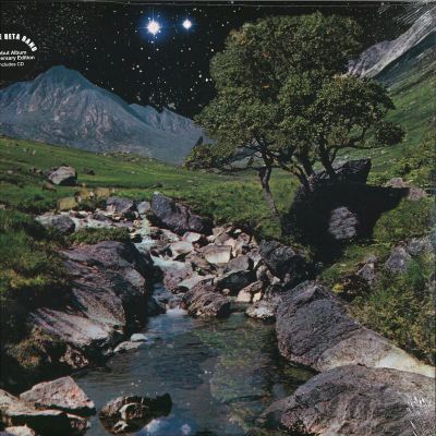 The Beta Band — The Beta Band vinyl cover