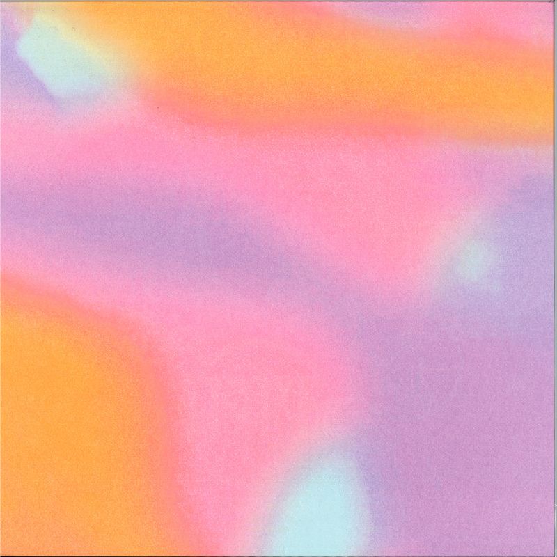 Various — The Saddle Club vinyl cover