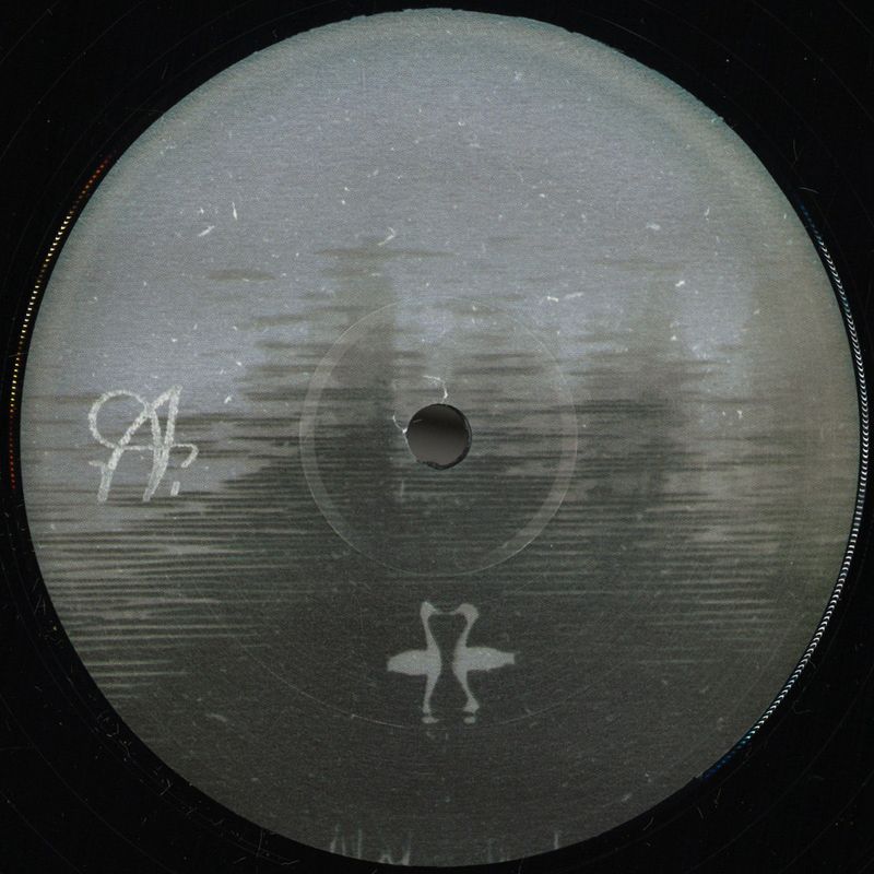 Golden Retriever — NAFASAM vinyl cover