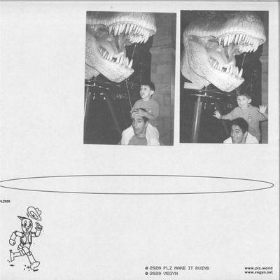 Vegyn — ONLY DIAMONDS CUT DIAMONDS LP 2x12" vinyl cover