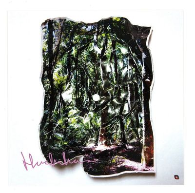 Korallreven — Here In Iowa vinyl cover