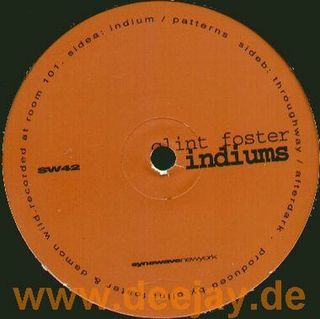 Clint Foster — Indiums vinyl cover