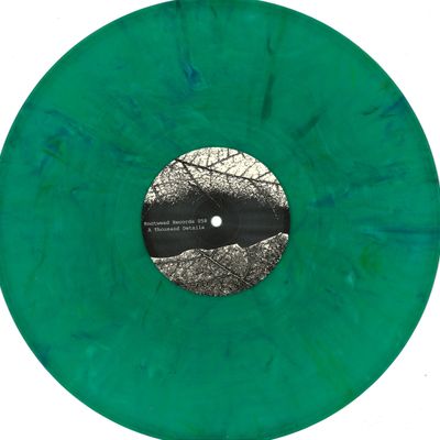 A Thousand Details — Hammersmith Conjunction vinyl cover