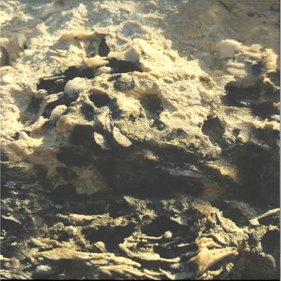 Andrea — Ritorno LP 2x12" vinyl cover