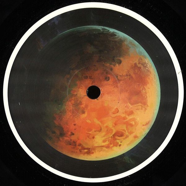 Luigi Tozzi — Wastelands vinyl cover