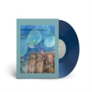 The Reds, Pinks, Purples — Acknowledge Kindness LP vinyl cover