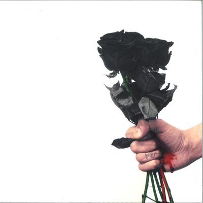 Pantha Negra — They Don't Let Me In vinyl cover