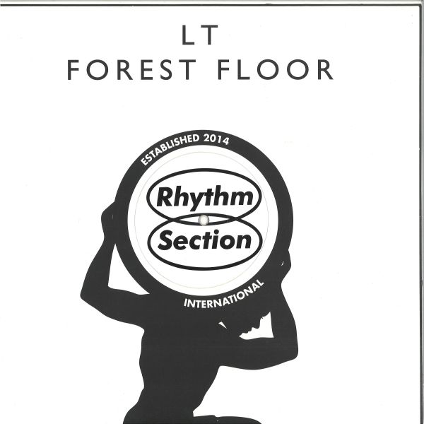 Lt — Forest Floor vinyl cover