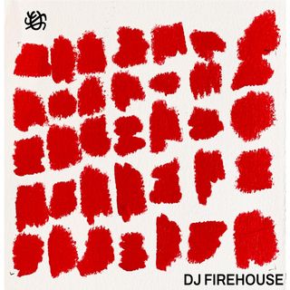 DJ Firehouse — Planting EP vinyl cover