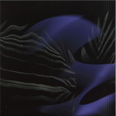 Braik — Los Dos Caminos vinyl cover